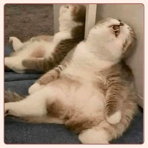 Meet your Posher, Kyla